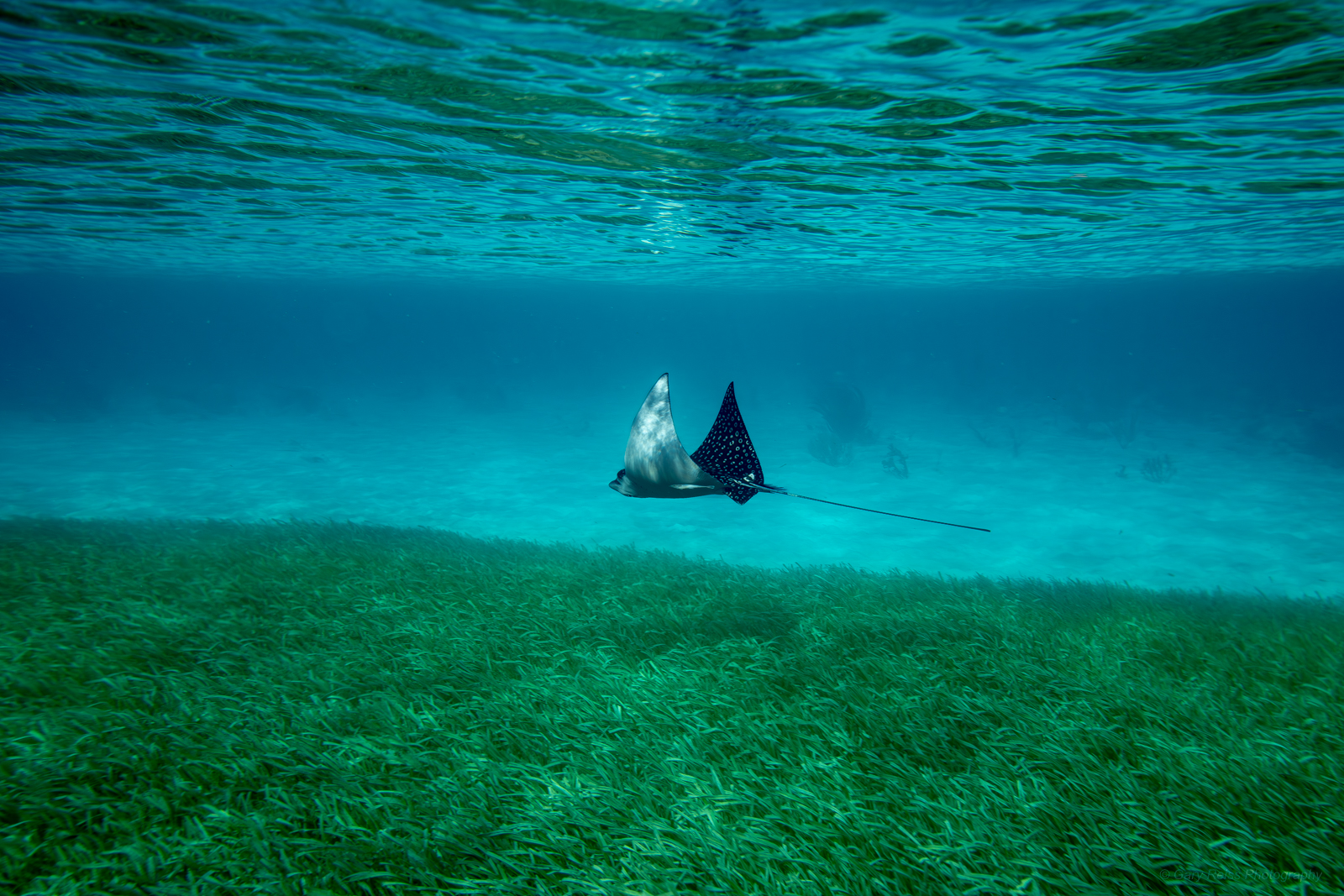Travel and destination photography by Gary Reiss